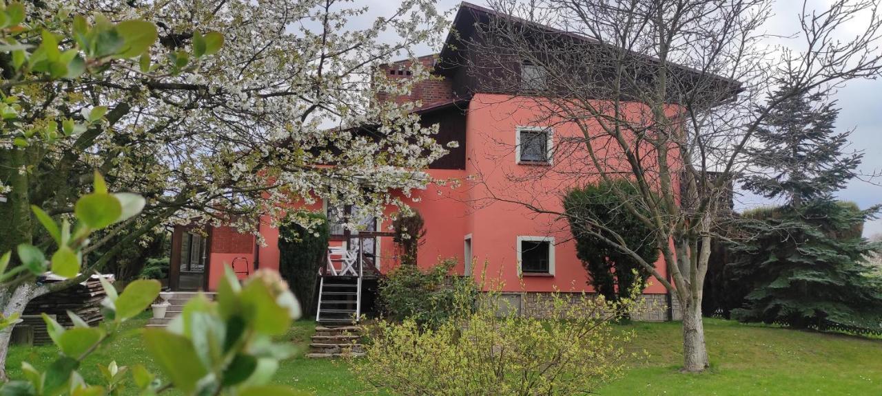 Za Gorami, Za Lasami Mysłakowice Kültér fotó